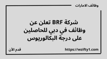 إعلان وظائف لدى شركة BRF في دبي للحاصلين على درجة البكالوريوس في الهندسة وعلوم الكمبيوتر