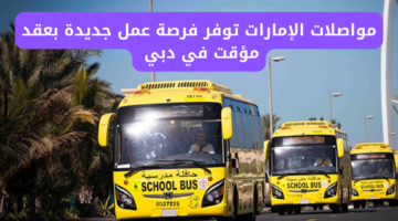 مواصلات الإمارات توفر فرصة عمل شاغرة بعقد مؤقت في دبي