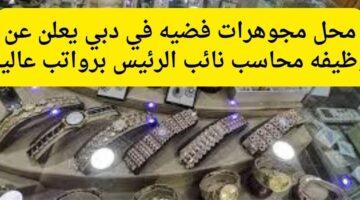 محل مجوهرات فضية في دبي يعلن عن  وظيفة محاسب نائب الرئيس موظفي المبيعات في دبي