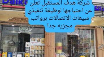 شركة هدف المستقبل تعلن عن احتياجها لوظيفة تنفيذي مبيعات الاتصالات برواتب مجزيه جدا