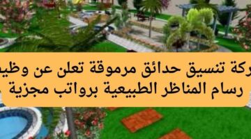 شركة تنسيق حدائق مرموقة تعلن عن وظيفة رسام المناظر الطبيعية برواتب مجزية 
