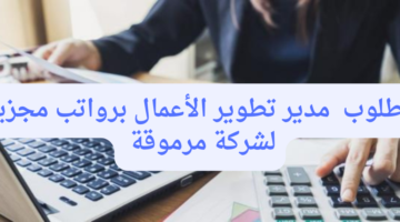 شركة مرموقه لحلول الموارد البشرية تعلن عن احتياجها لوظيفة مدير تطوير الأعمال برواتب مجزية