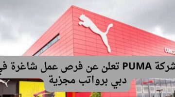 شركة PUMA تعلن عن فرص عمل شاغرة في دبي برواتب مجزية