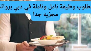 مطلوب وظيفة نادل/ نادلة في دبي برواتب مجزيه جداً 