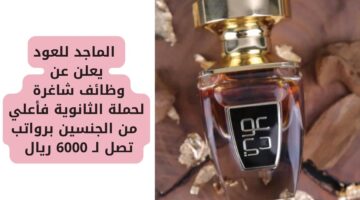وظائف اليوم لدى الماجد للعود لحملة الثانوية فأعلي من الجنسين برواتب تصل لـ 6000 ريال