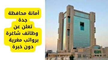 وظائف جدة في مجال العمل الميداني برواتب مغرية لحملة البكالوريوس