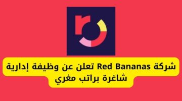 وظائف في مكه لدى شركة Red Bananas براتب مغري