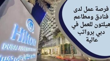فنادق ومطاعم هيلتون تعلن عن وظائف شاغرة لأصحاب الخبرة في مجال النجارة وصيانة المباني