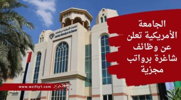 وظائف الجامعة الأمريكية لحملة شهادة الدكتوراه بمجال إدارة الأزمات برواتب تنافسية