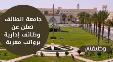 وظائف اليوم لدى جامعة الطائف لمتخصصي المحاسبة أو الإدارة برواتب تنافسية