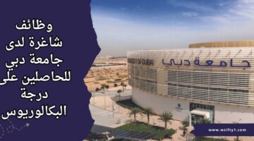 وظائف جامعة دبي للحاصلين على البكالوريوس للعمل برواتب مجزية