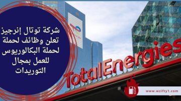 وظائف شركة توتال إنرجيز لحملة البكالوريوس في مجال المبيعات وإدارة الأعمال في دبي