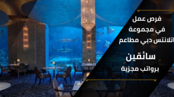وظائف مجموعة اتلانتس دبي مطاعم تقدم فرص للعمل سائقين بمرتبات تنافسية