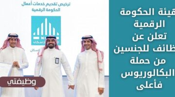 وظائف حكومية لدى هيئة الحكومة الرقمية للجنسين من حملة البكالوريوس فأعلى برواتب مغرية