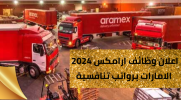 وظائف ارامكس الامارات لحملة شهادة البكالوريوس في الأعمال التجارية برواتب تنافسية