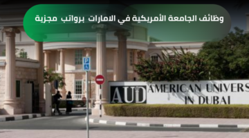 فرص عمل لدى الجامعة الأمريكية في الإمارات للمؤهلات المتوسطة والعليا