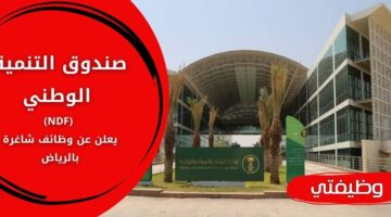 وظائف صندوق التنمية الوطني (NDF) لحملة البكالوريوس فأعلى بكافة التخصصات