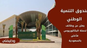 وظائف صندوق التنمية الوطني لحملة البكالوريوس فأعلى بالمملكة