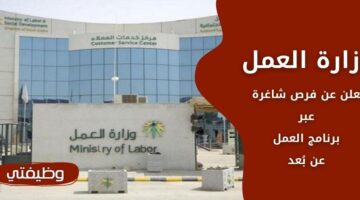 وظائف وزارة العمل للجنسين عبر برنامج العمل عن بُعد لكافة المؤهلات