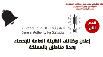 وظائف الهيئة العامة للإحصاء لحملة البكالوريوس فأعلى بعدة مناطق بالمملكة