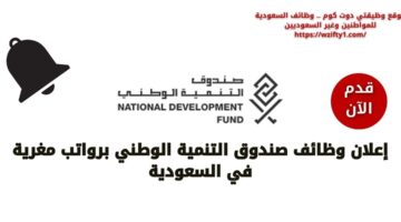 وظائف صندوق التنمية الوطني لحملة البكالوريوس فما فوق للعمل بالمجال الإداري والمالي