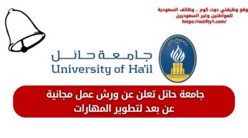 جامعة حائل تعلن عن 15 ورشة مجانية عمل عن بعد بمجال تطوير المهارات