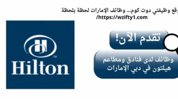 وظيفة سائق لدى فنادق ومطاعم هيلتون في دبي الإمارات