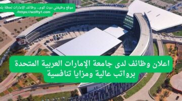 وظائف جامعة الإمارات العربية المتحدة برواتب عالية ومزايا تنافسية