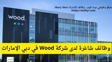 وظائف محاسبين لحملة البكالوريوس لدى شركة Wood في دبي الإمارات