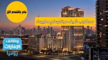 إعلان عن وظيفة متاحة كشيف في ماريوت للمبتدئين