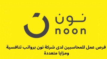 فرص عمل للمحاسبين لدى شركة نون برواتب تنافسية ومزايا متعددة 