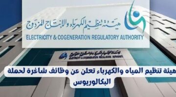 وظائف حكومية بهيئة تنظيم المياه والكهرباء لحمة البكالوريوس للجنسين