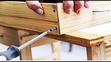 وظائف نجارين ديكور في دبا الفجيرة برواتب حتى 2000 درهم